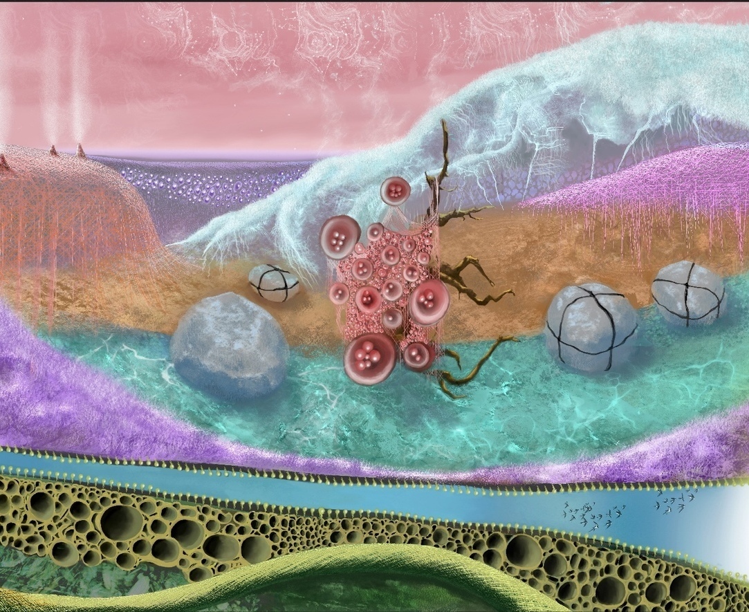 "Global Fungi Navigation", 2025