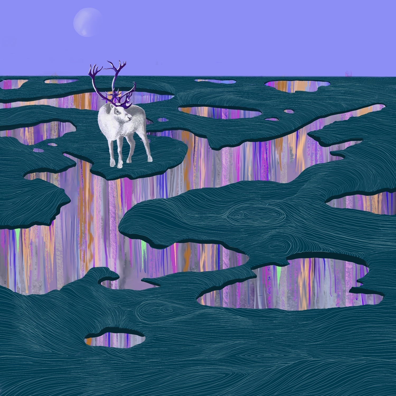 "Global Fungi Navigation", 2025